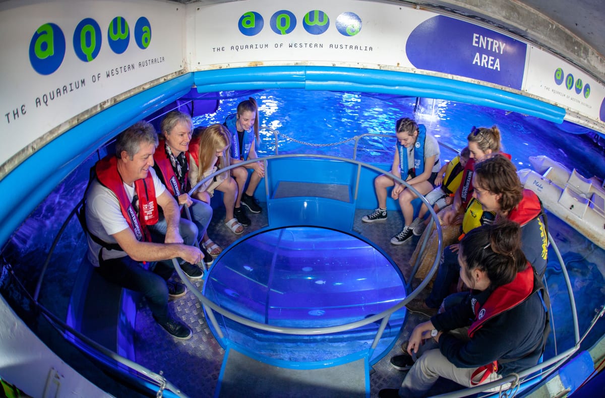 AQWA Glass Bottom Boat Ride Experience | Perth | Aquarium of Western Australia | Pelago