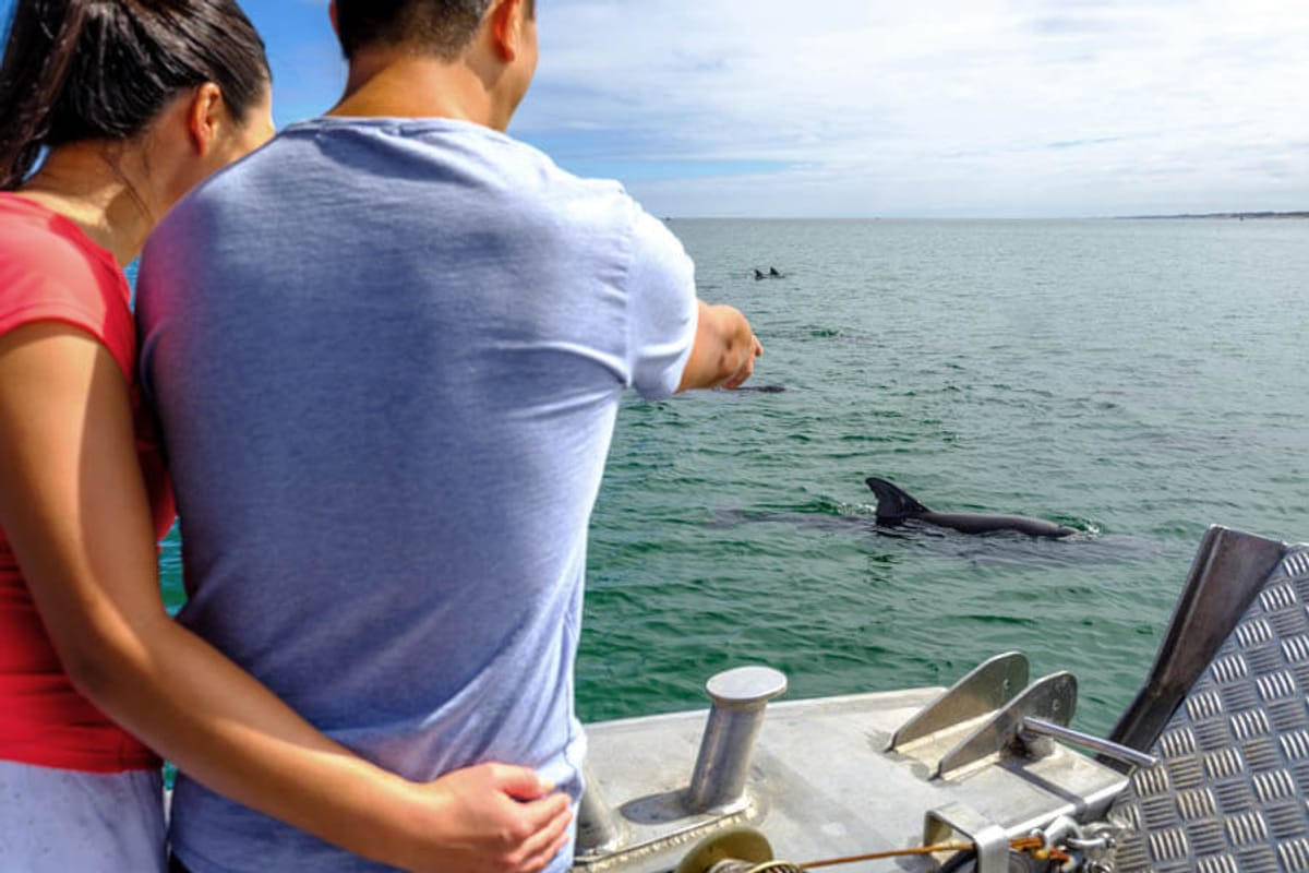 bunbury-dolphin-eco-cruise-australia-pelago0.jpg