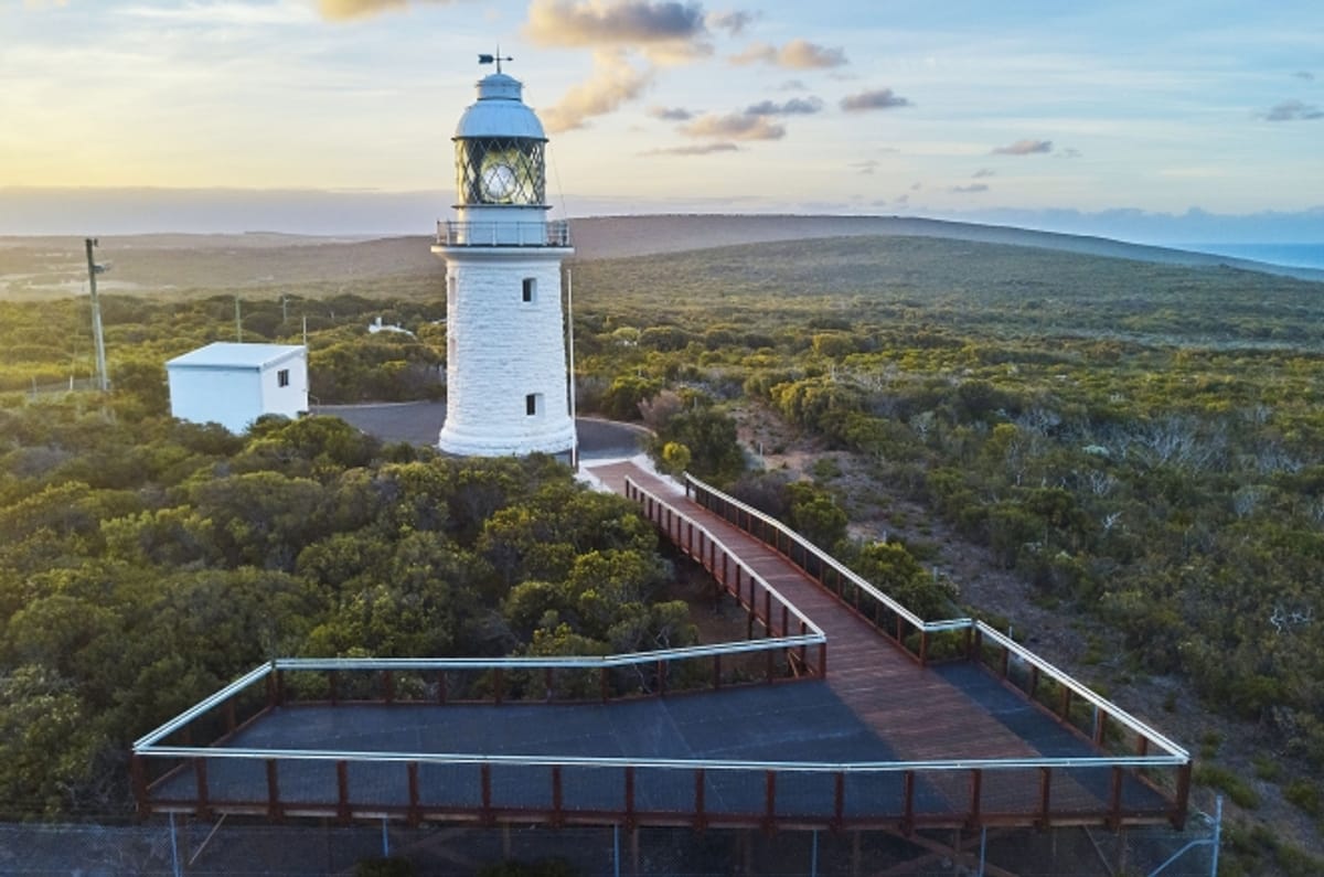 cape-naturaliste-lighthouse-tour-australia-pelago0.jpeg
