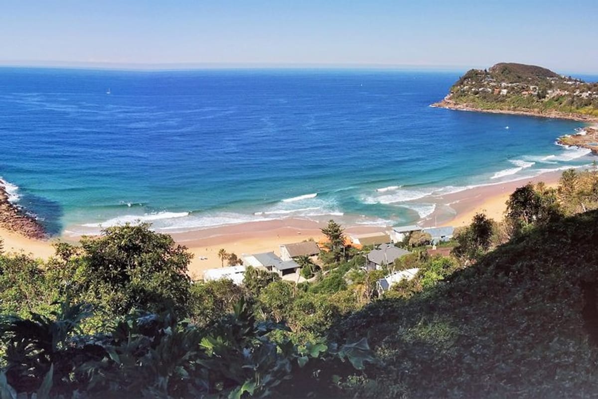 View over Whale Beach