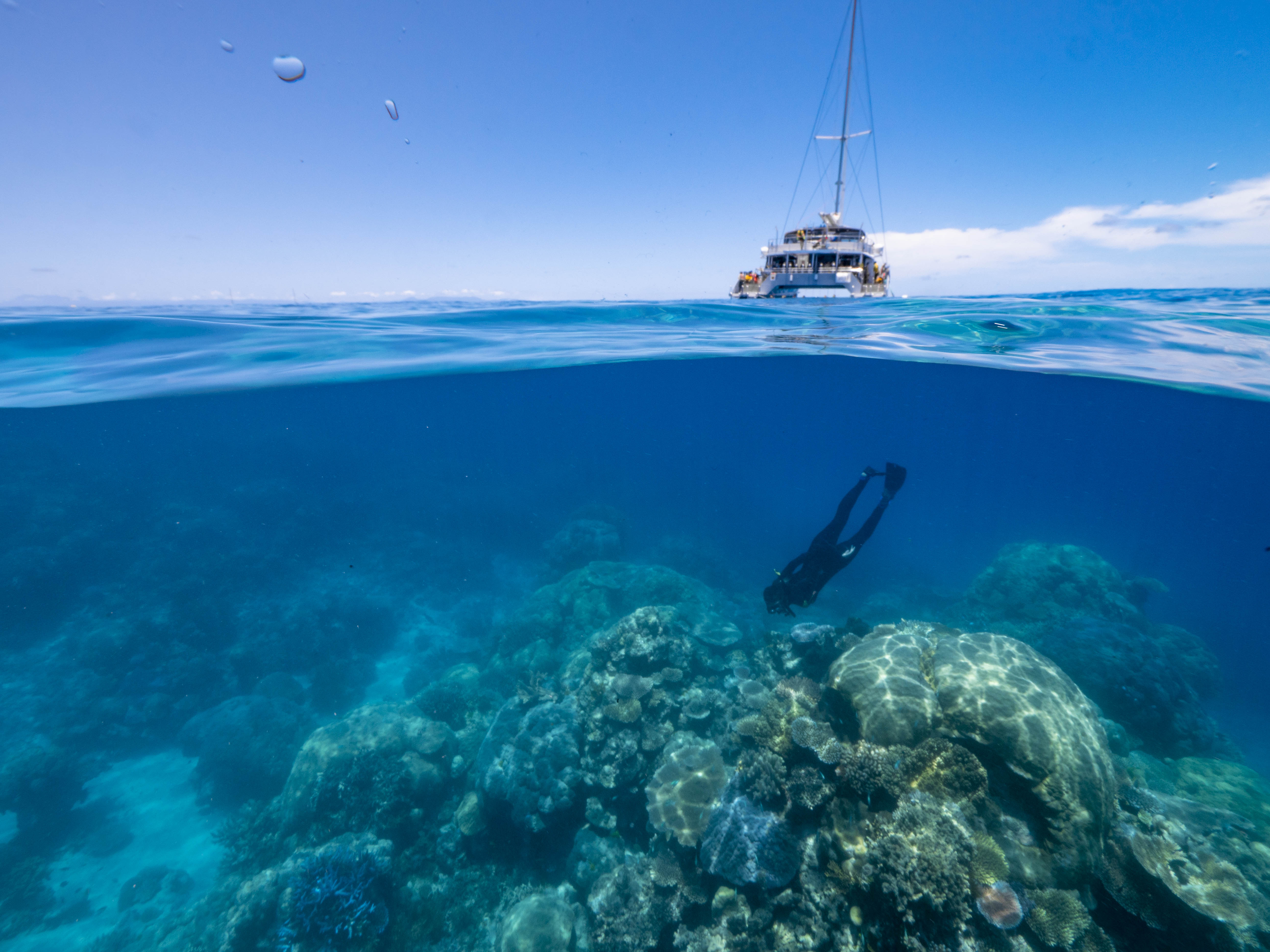 Great Barrier Reef Snorkel or Dive Tour on a Catamaran in Cairns