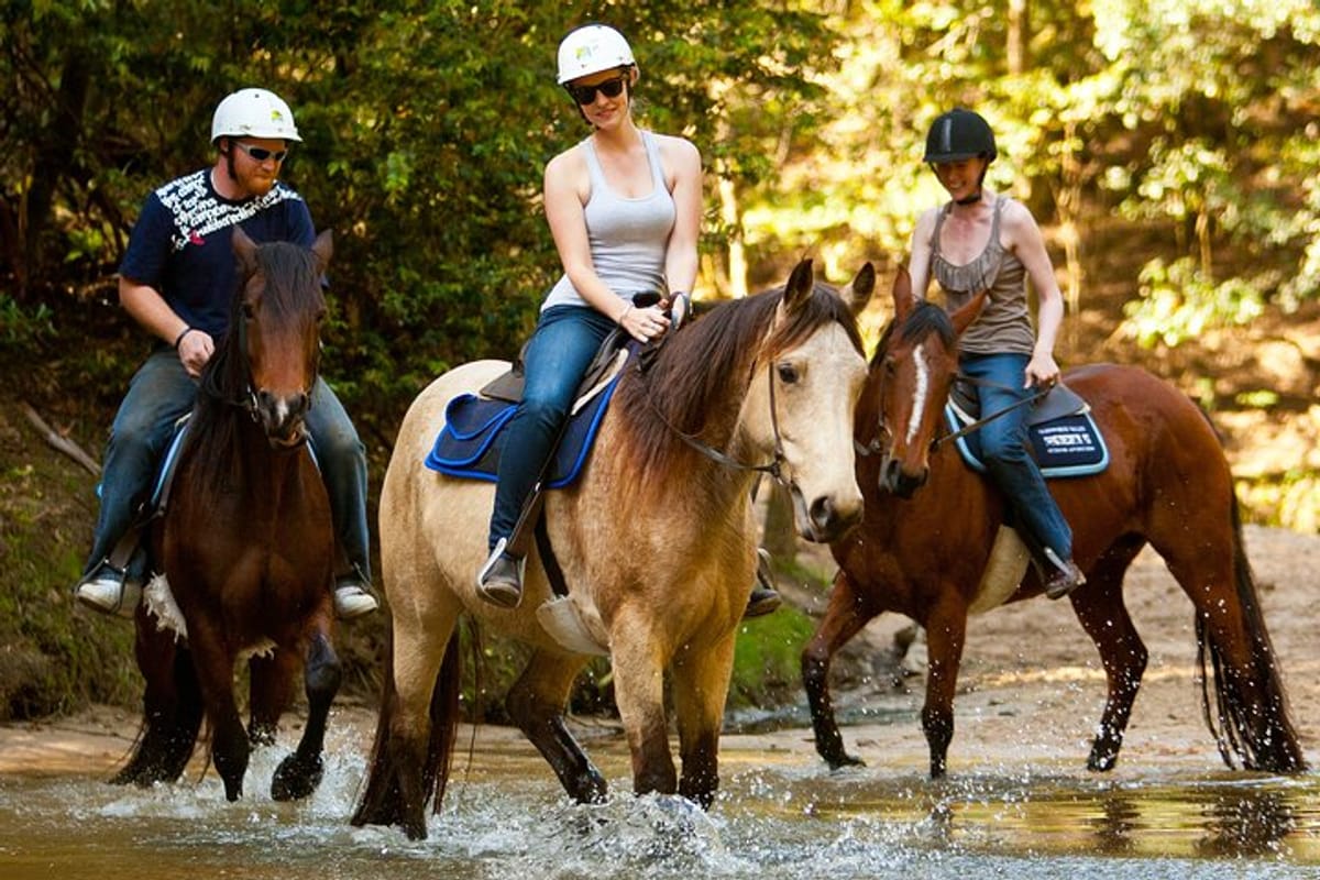 Immerse Yourself in the Thrill of Horse Riding Through Untouched Natural Bushland