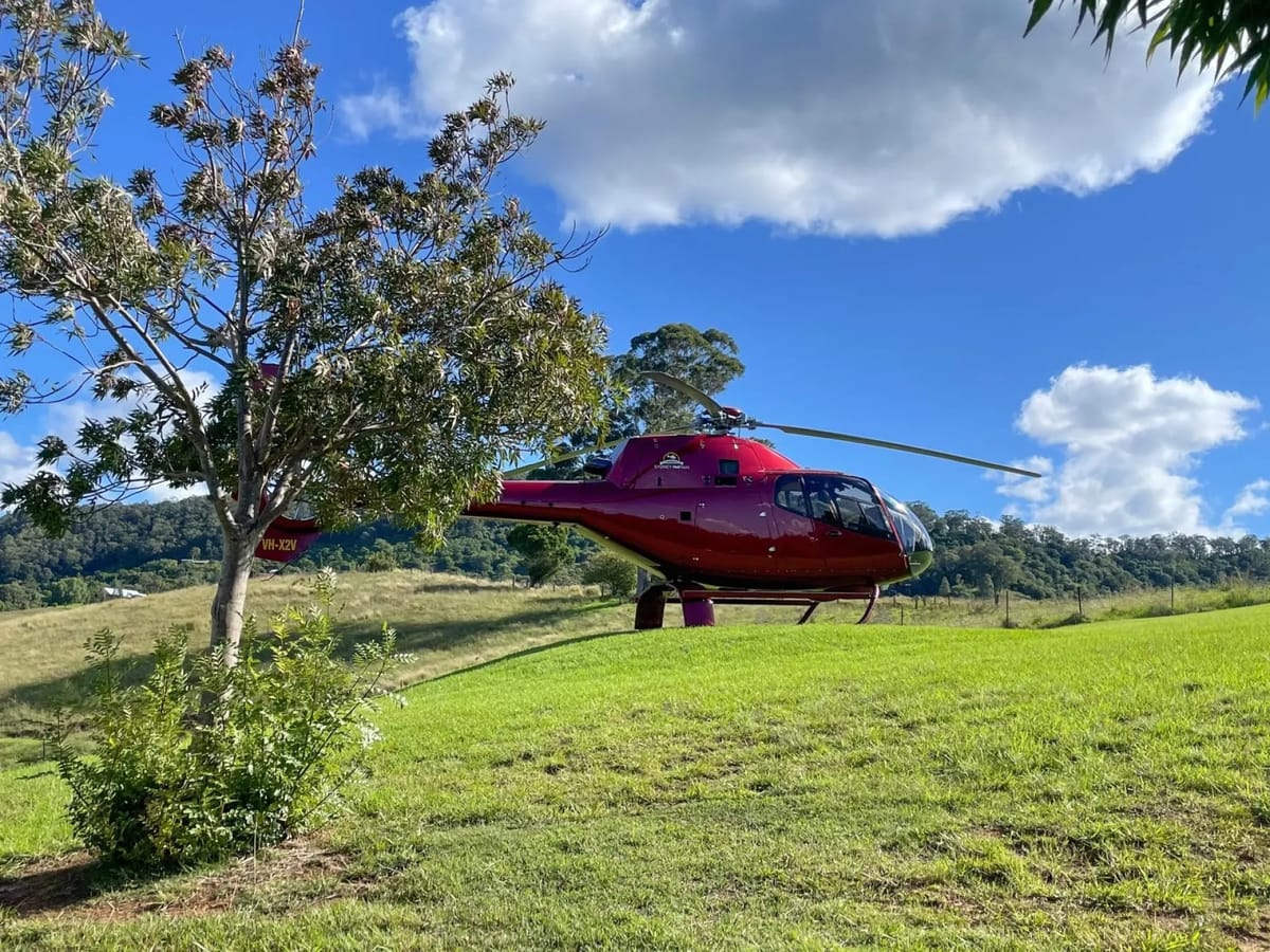 hunter-valley-helicopter-and-gourmet-lunch-tour-from-sydney_1