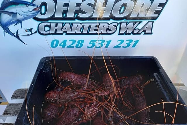 Lobster Fishing Tour at Geraldton in Geraldton