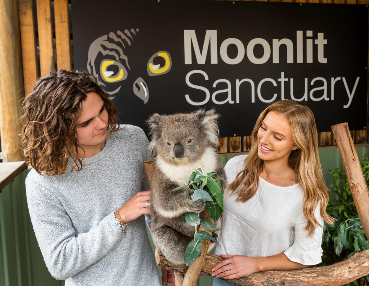 moonlit-sanctuary-conservation-park-ticket-australia-pelago0.jpg
