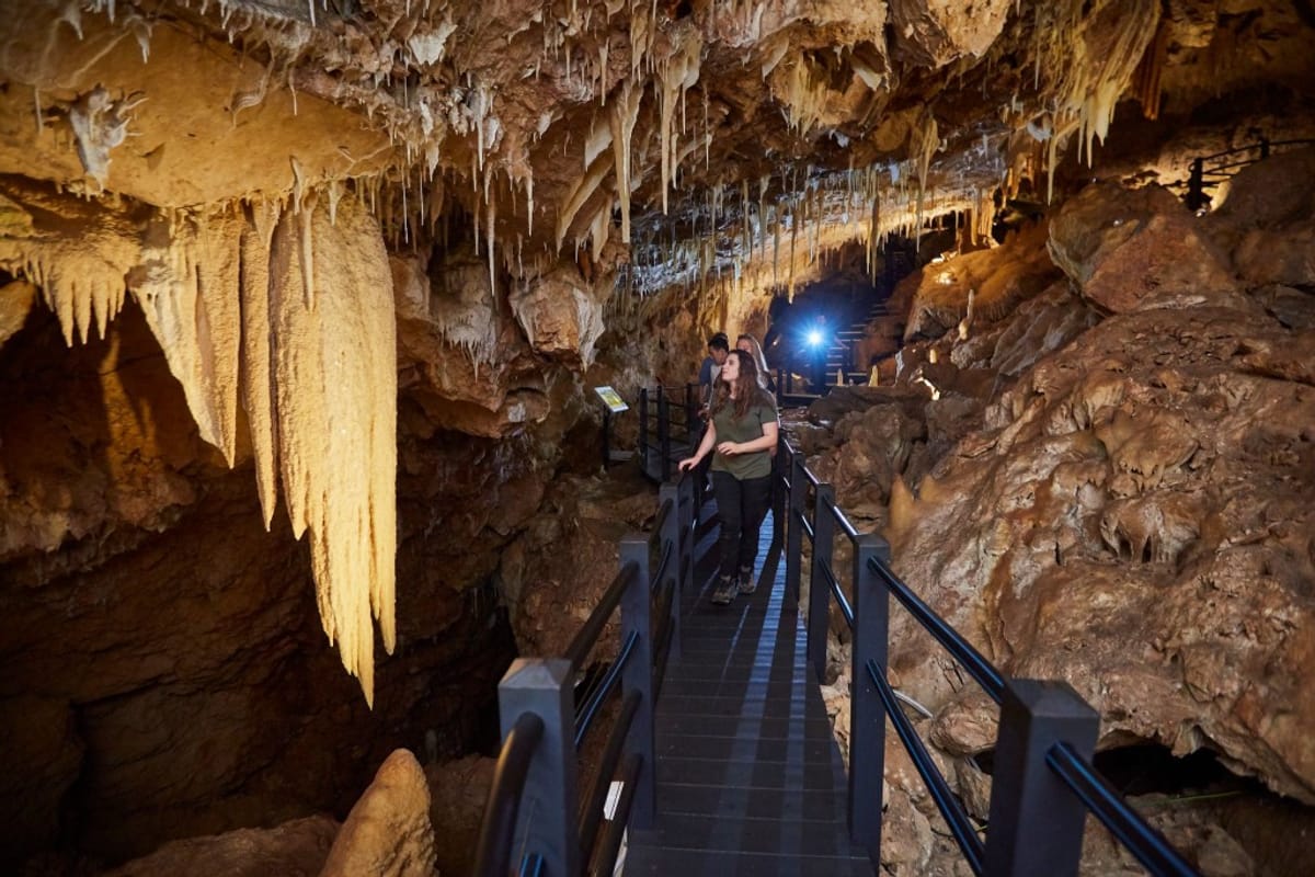 ngilgi-cave-tour-australia-pelago1.jpg
