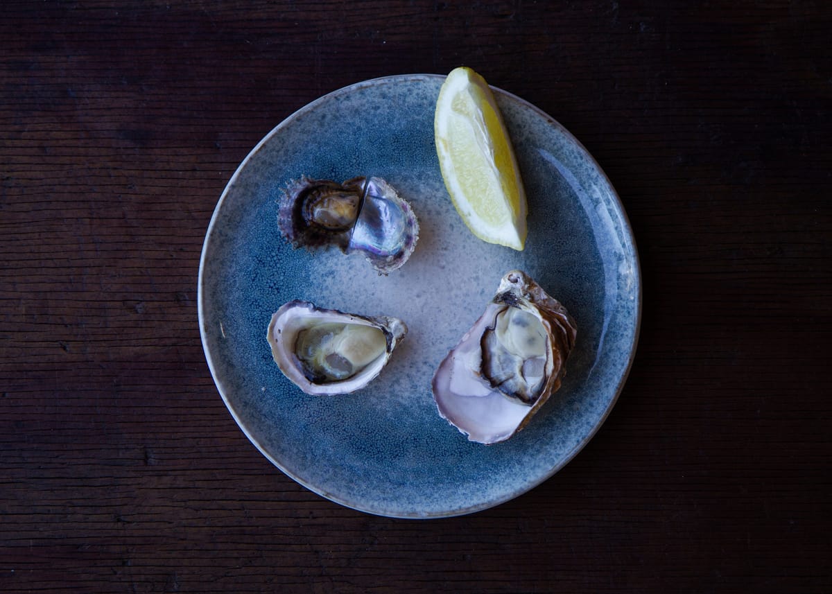 oyster-tasting_1