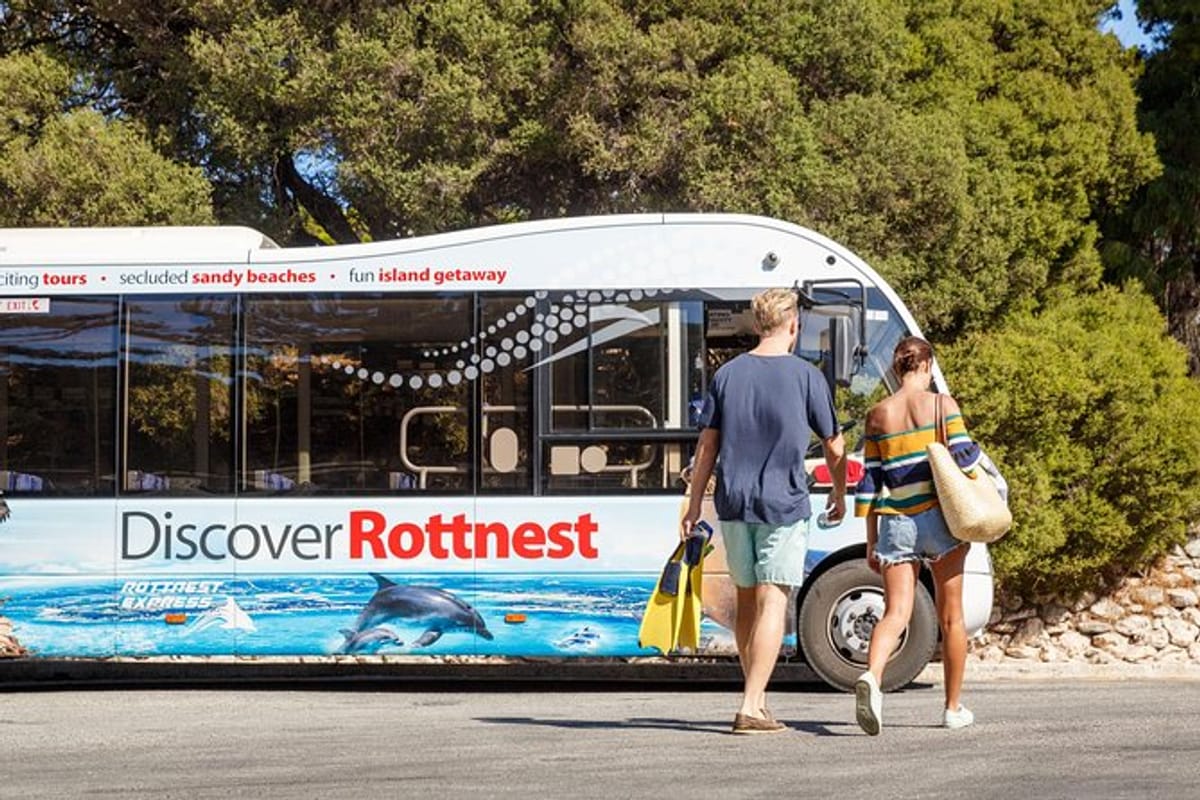 Ferry and Bus Tour to Rottnest Island | Perth | Western Australia | Pelago
