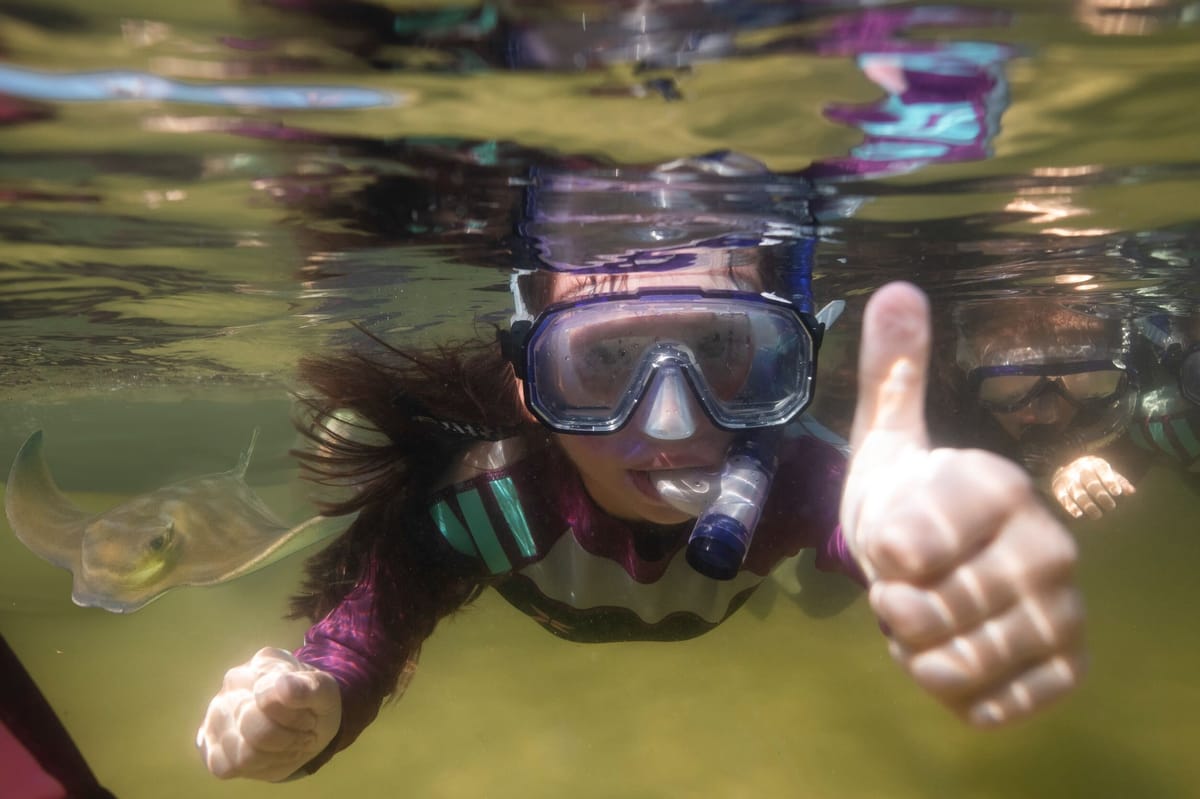 Stingray and Shark Encounter | Tropical Snorkel Experience | Aquarium Entry Pass to Irukandji | Jessie Rd, Anna Bay | Newcastle & Port Stephens | Australia | Pelago