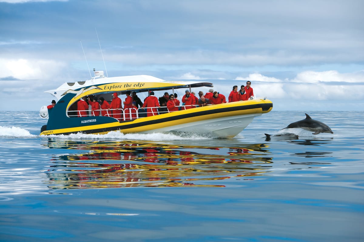 tasman-island-cruise-day-tour-hobart-australia-pelago0.jpg