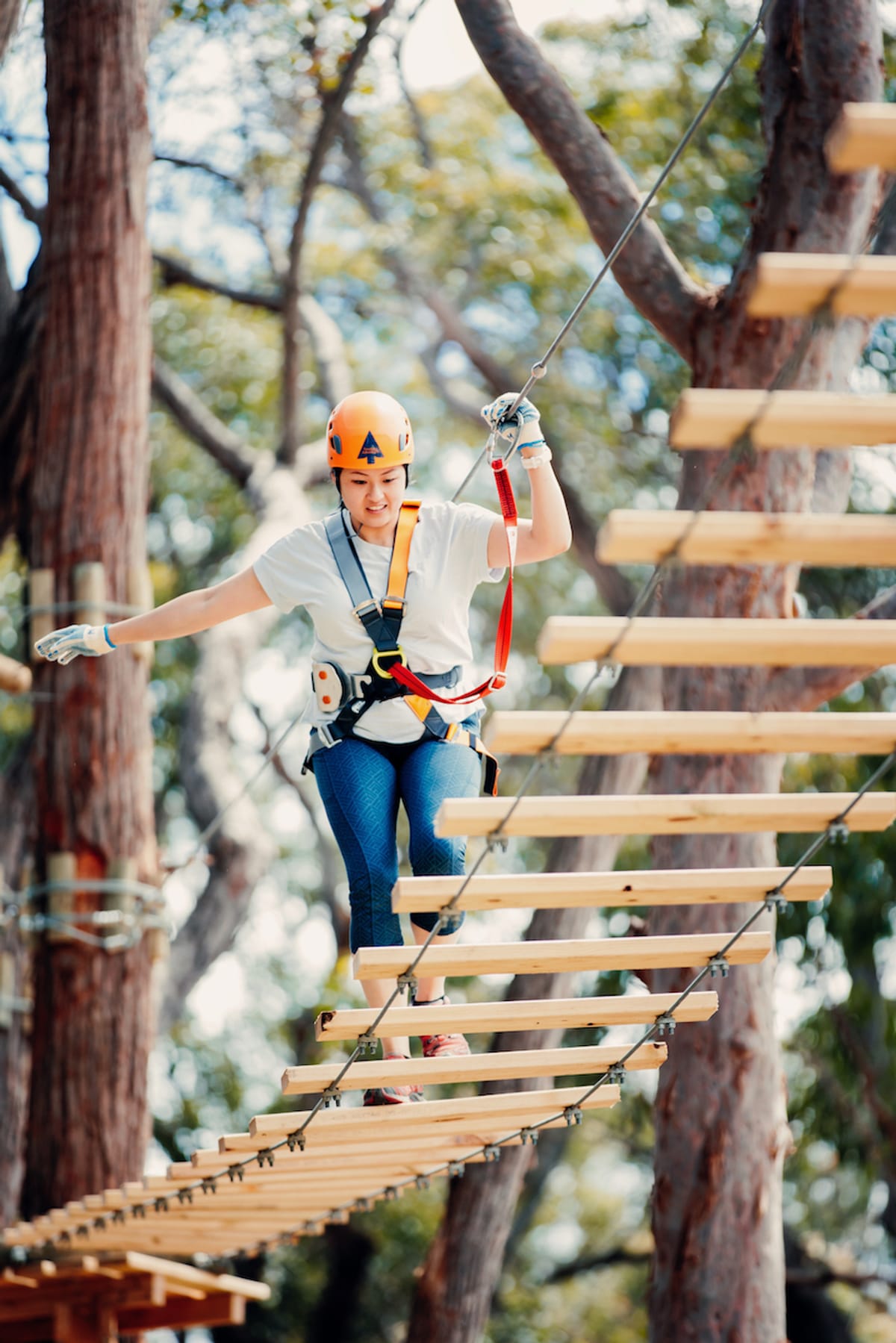 tree-ropes-course_1