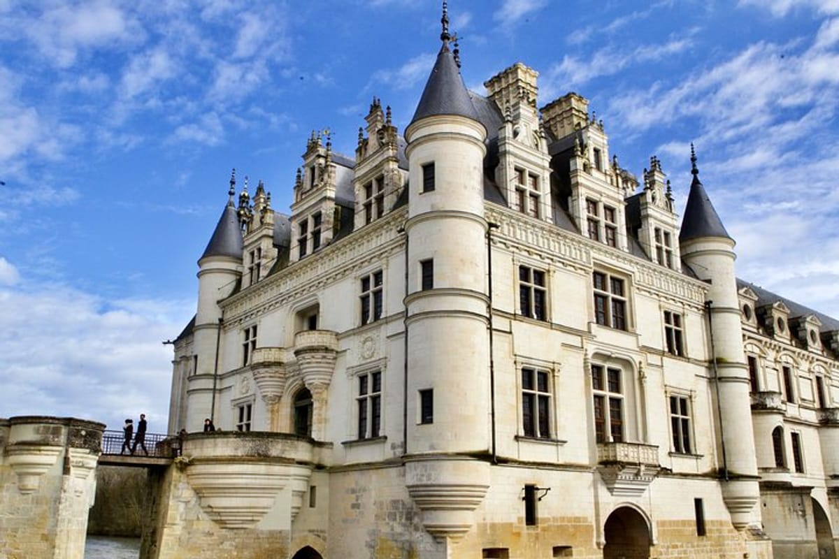 3-loire-castles-live-guided-small-group-mercedes-minivan-winery_1