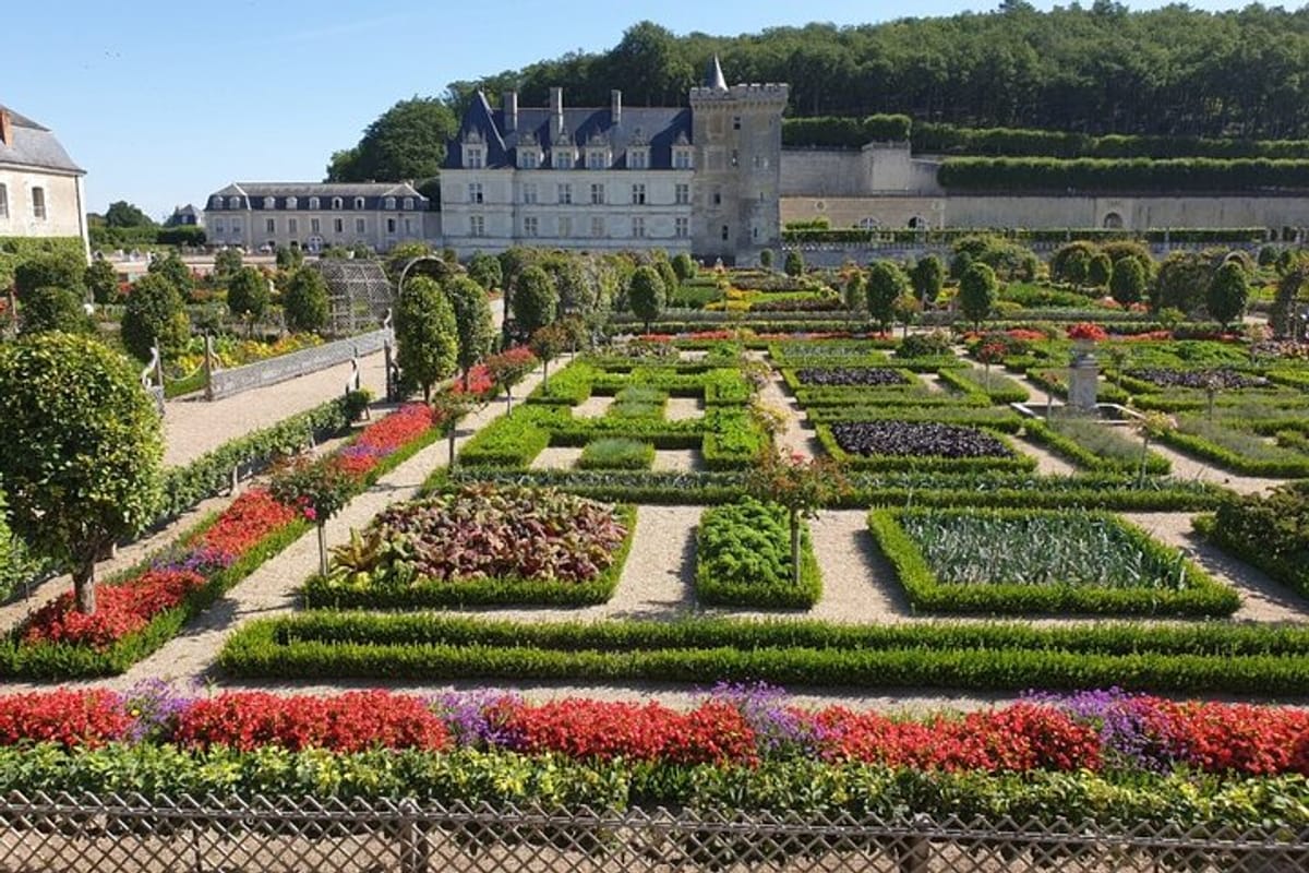 The beautiful gardens of the Chateau de Villandry 