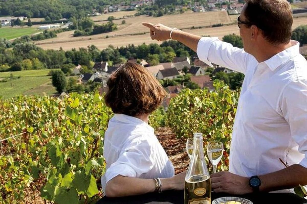 full-day-private-champagne-tasting-in-reims-and-its-vineyards_1
