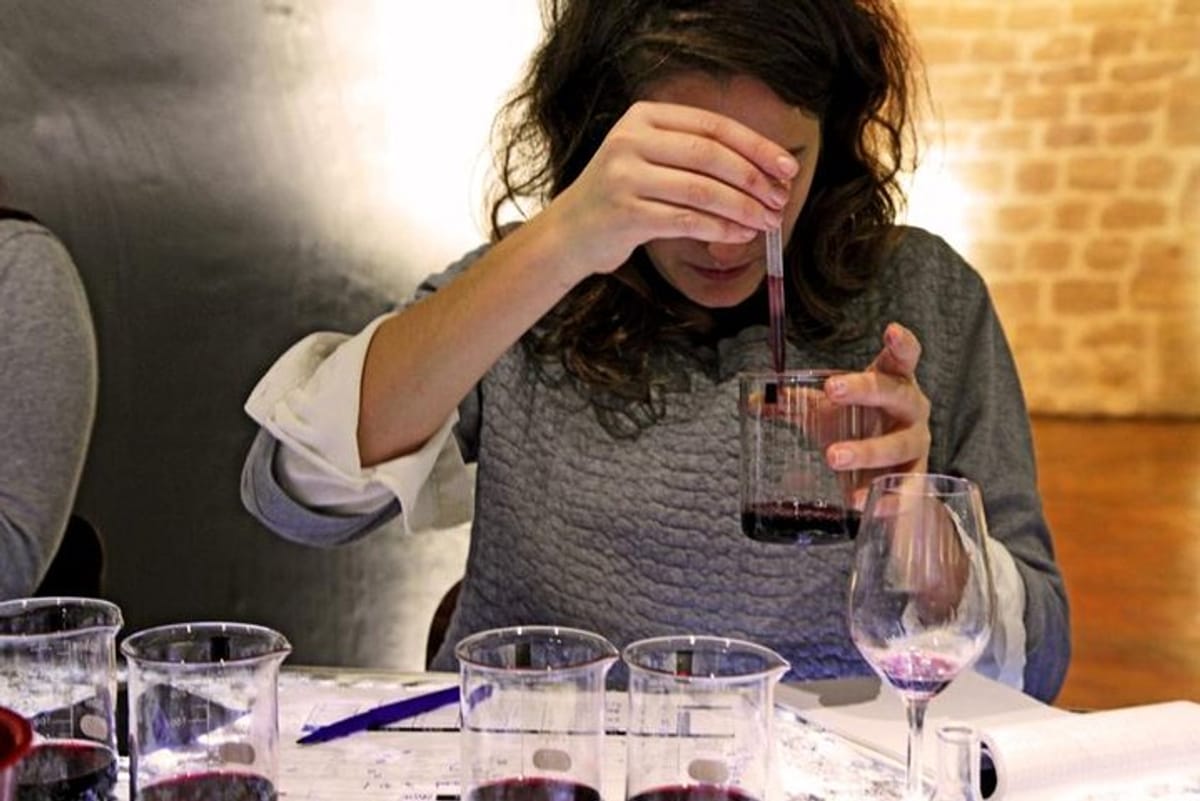 Winemaking workshop in Paris 