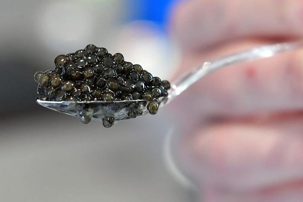 mouth-water-caviar_1