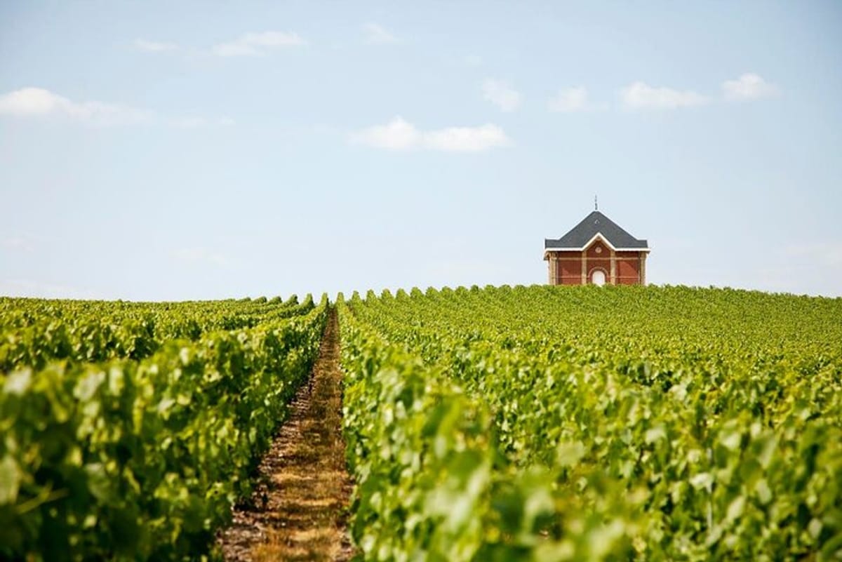 private-tour-to-the-best-champagne-wineries-from-paris_1