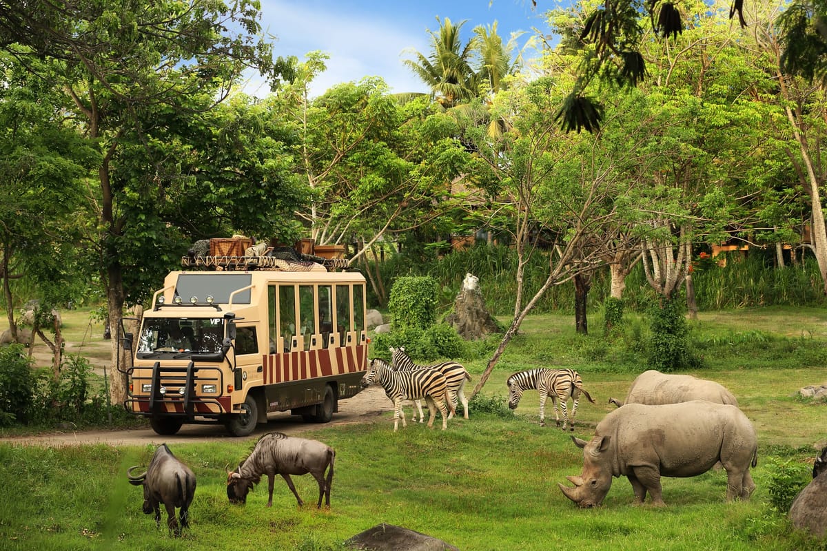 Bali Safari Park Tickets | Jungle Hopper | Breakfast with Lions | Night Safari | Bali | Indonesia | Pelago