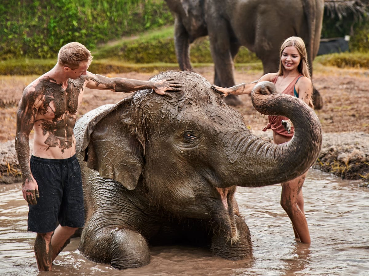 elephant-mud-fun-bali-zoo-thailand-pelago0.jpg