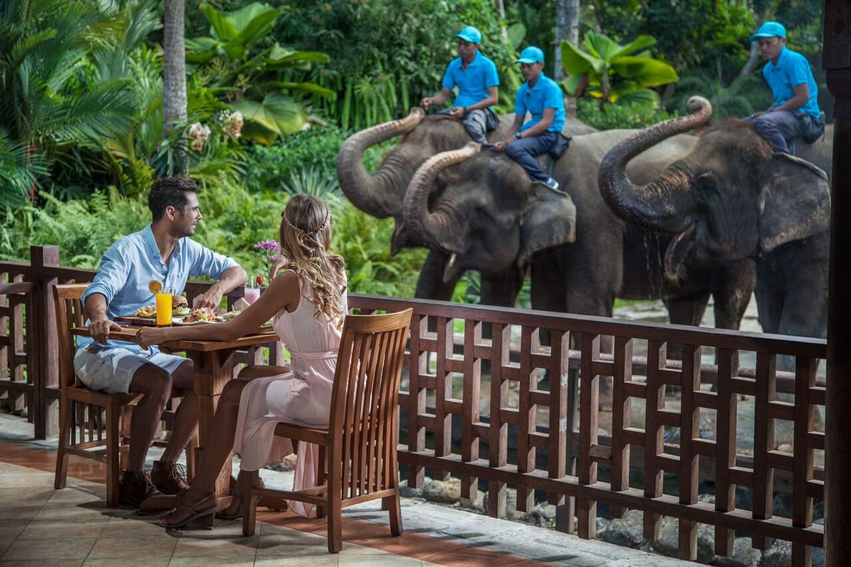 bathe-breakfast-elephants-indonesia-pelago0.jpg