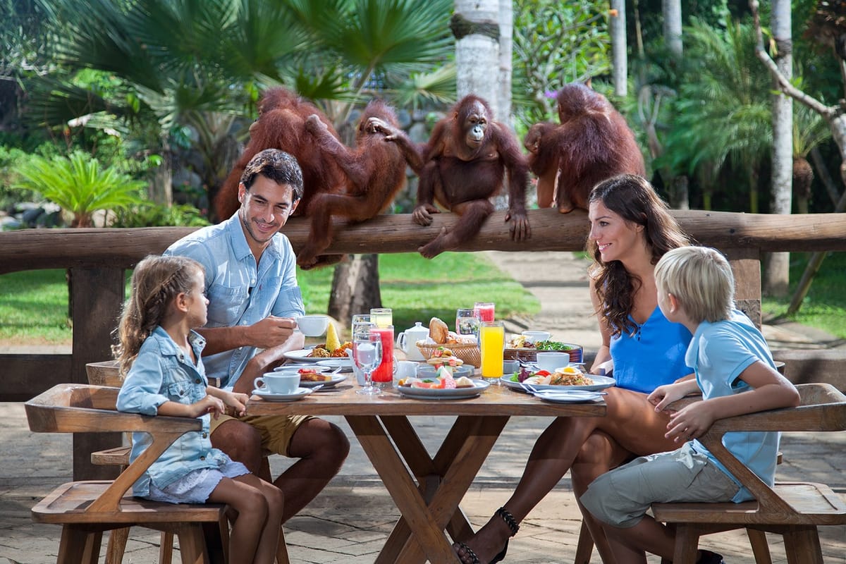 breakfast-with-orangutans-indonesia-pelago0.jpg
