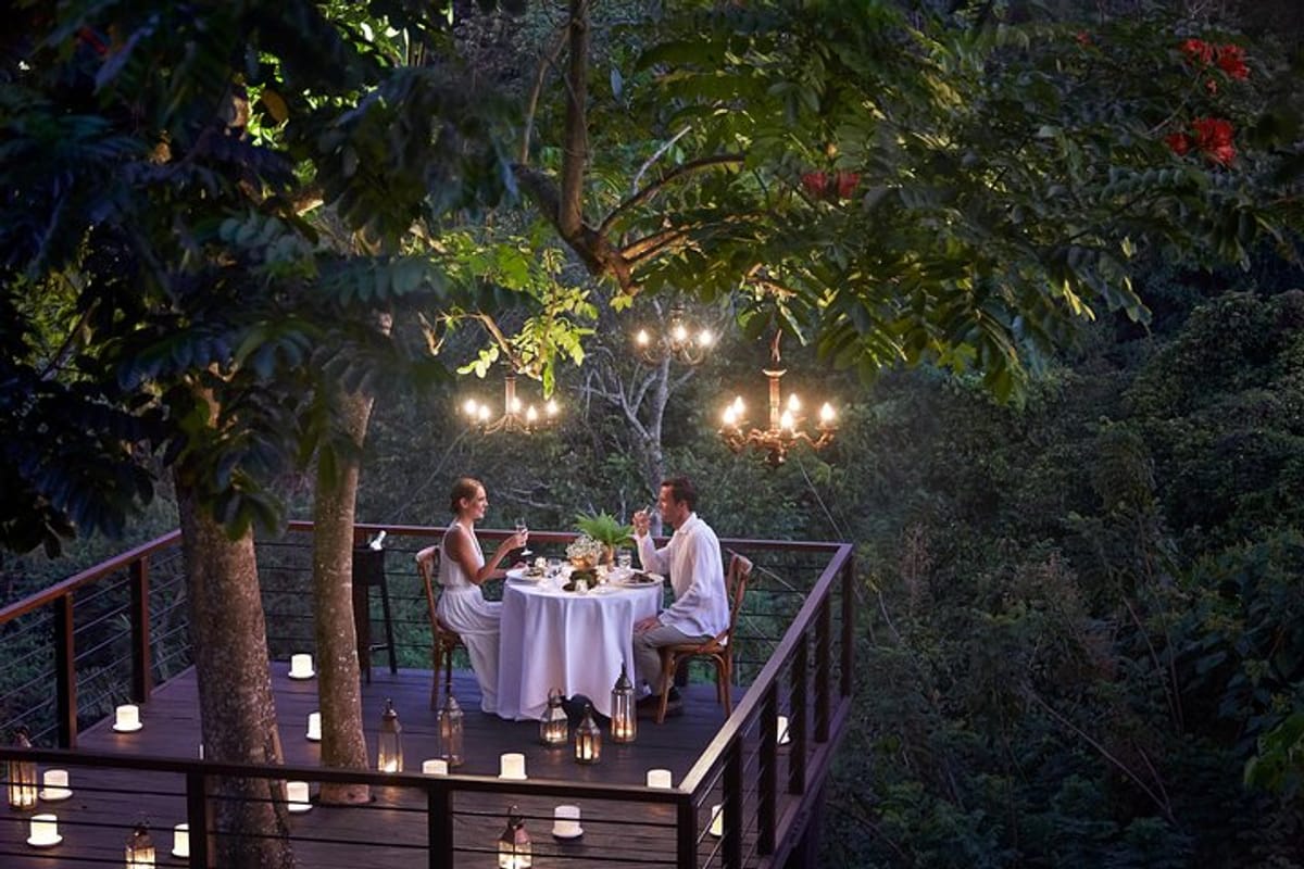 Forest Dining at Tree Deck