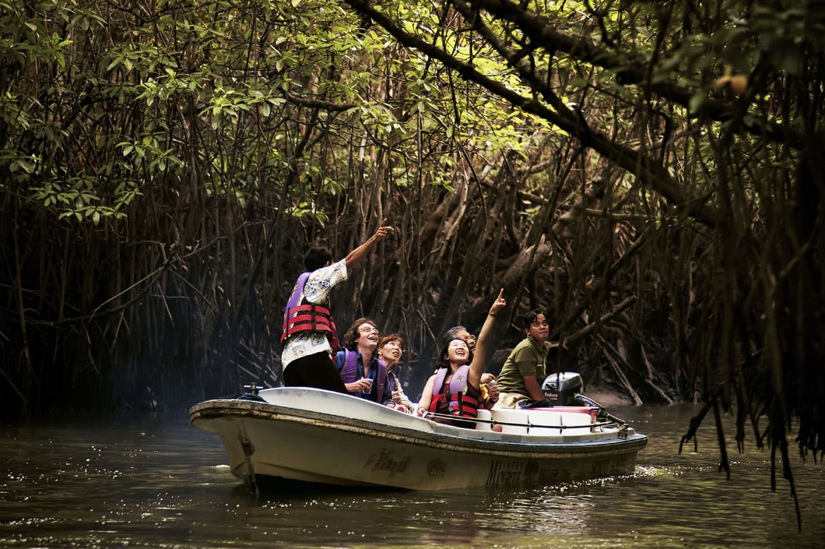 mangrove-discovery-tour-indonesia-pelago0.jpg