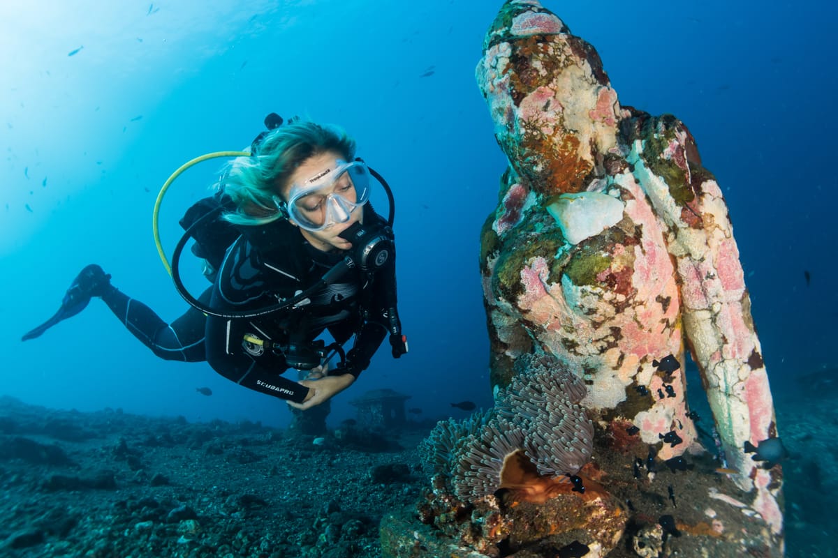 	ocean-shipwreck-scuba-diving-indonesia-pelago0.jpg