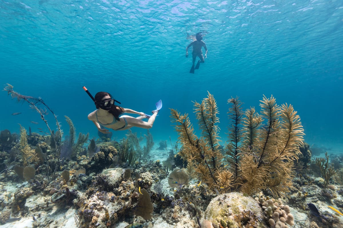 snorkeling-blue-lagoon-tanjung-jepun-indonesia-pelago0,jpg