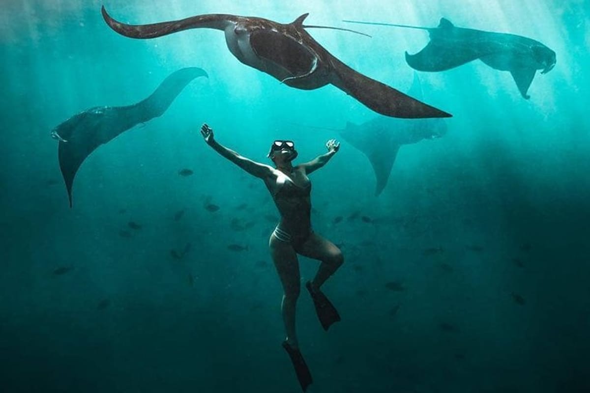 snorkeling-manta-ray-safari-in-nusa-penida_1