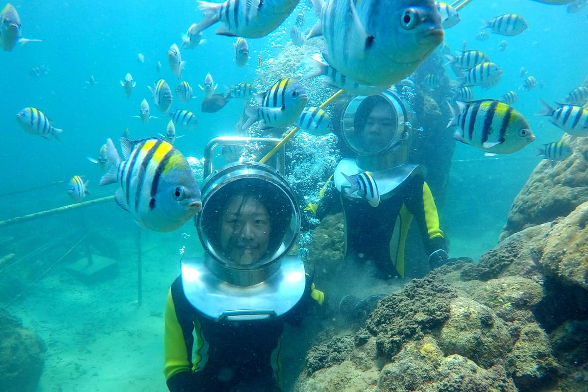 underwater-sea-walking-experience-indonesia-pelago0.jpg