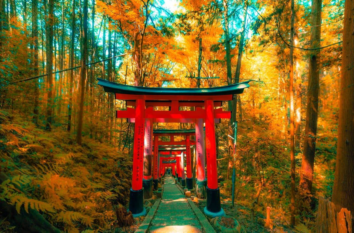 fushimi-inari-taisha-shrine-and-kyoto-city-tour-from-kyoto_1