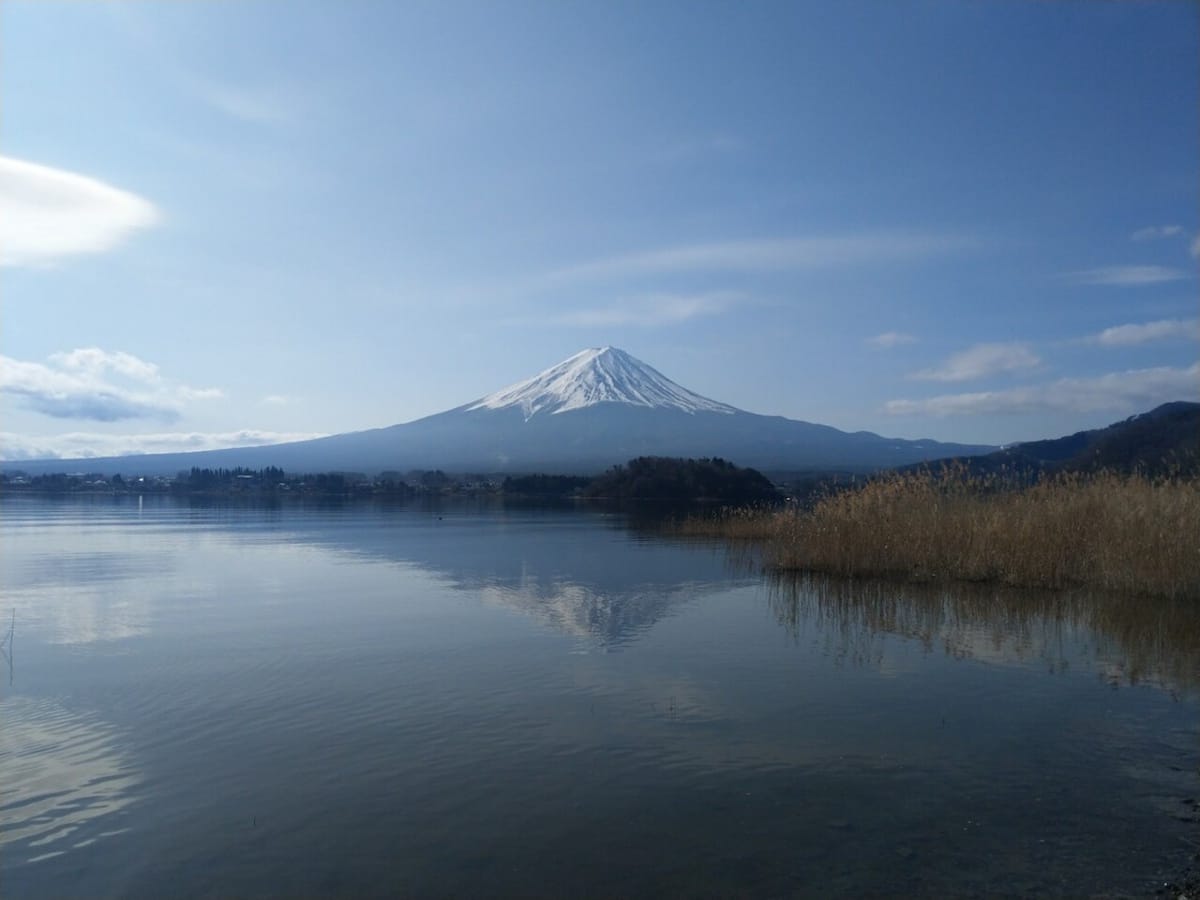 mount-fuji-day-tour-with-kawaguchiko-lake_1
