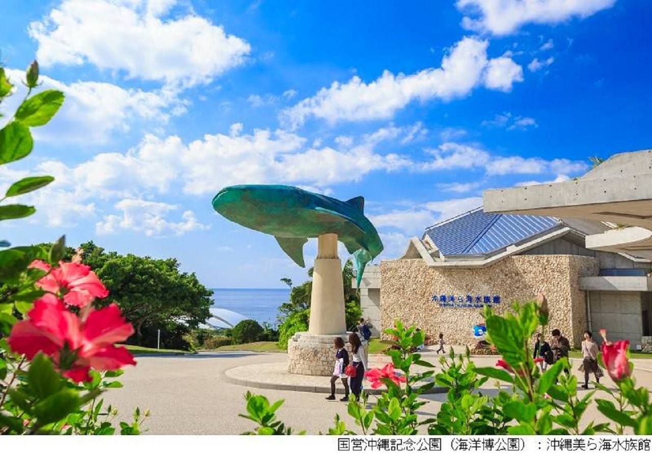 Churaumi TokuToku 5 Pass: Okinawa Churaumi Aquarium in Okinawa | Pelago