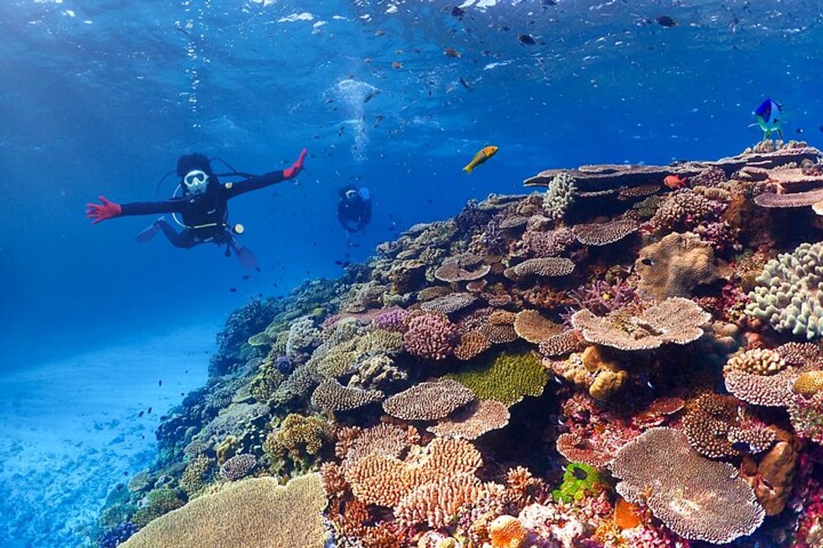 Beautiful coral reefs and good visibility!