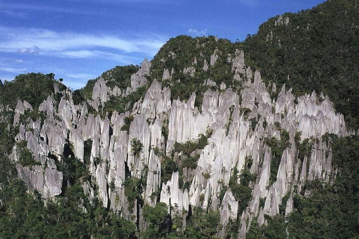 Pinnacles, Mulu National Park