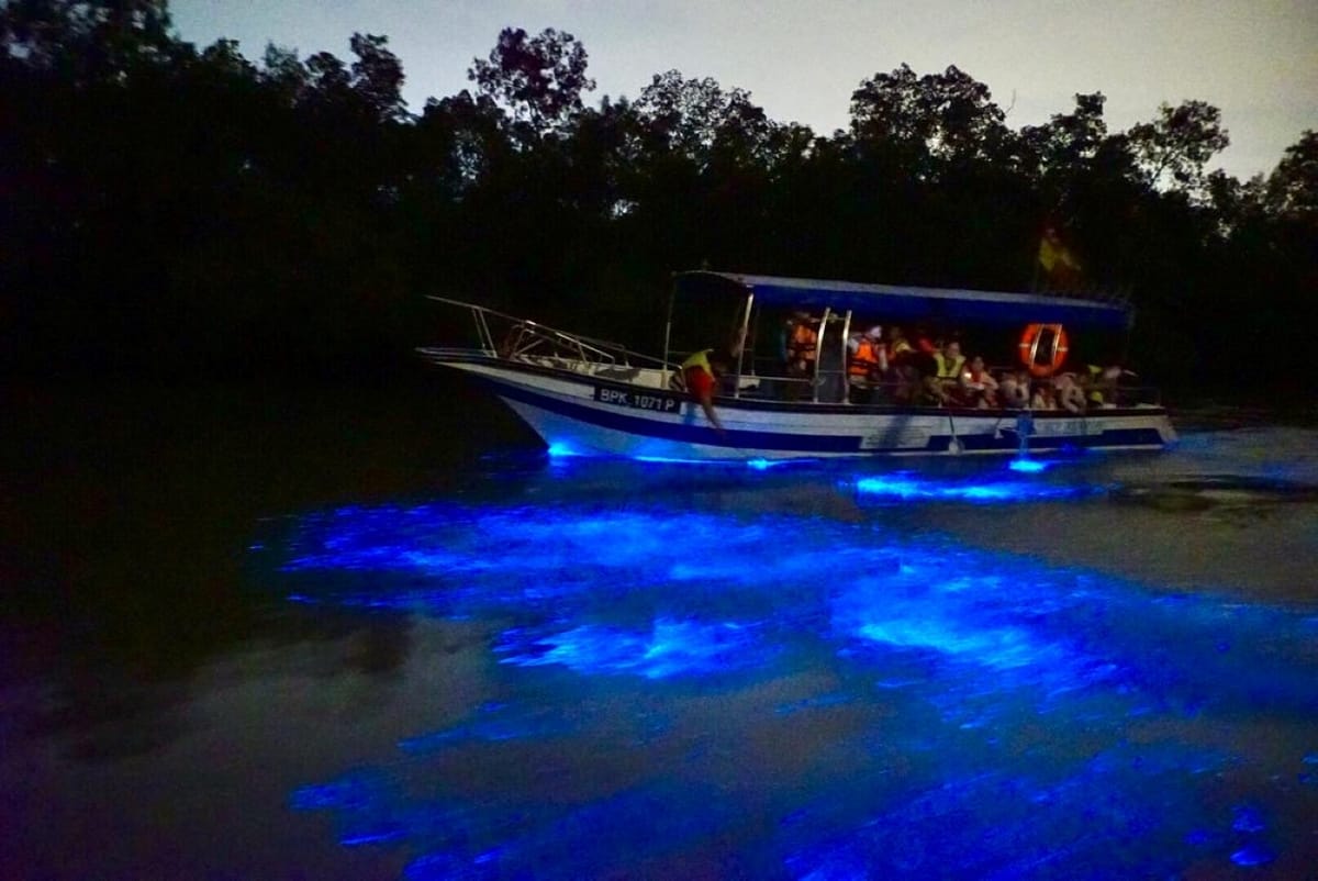blue-tears-boat-cruise-in-kuala-selangor_1