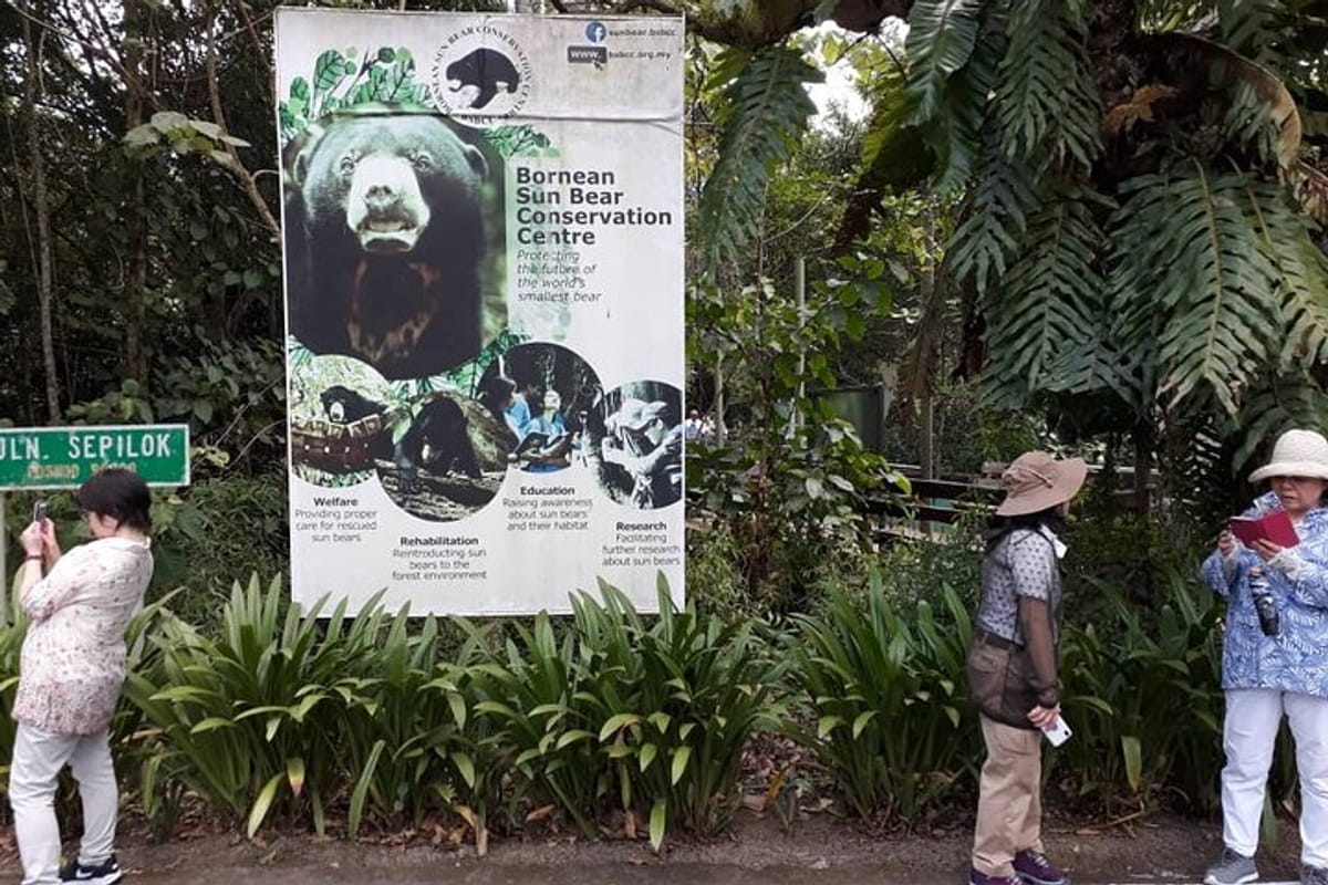 full-day-sepilok-orangutan-sun-bear-sandakan-city-trail-from-kota-kinabalu_1