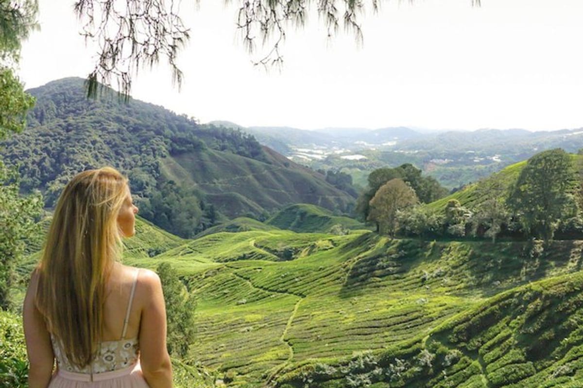 Escape the heat and visit a tea plantation in the rolling hills of the Cameron Highlands