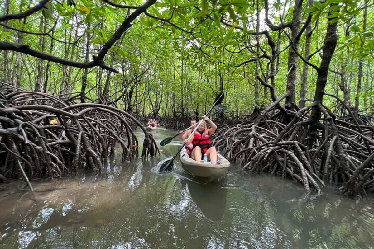 half-day-mangrove-kayaking-in-langkawi_1