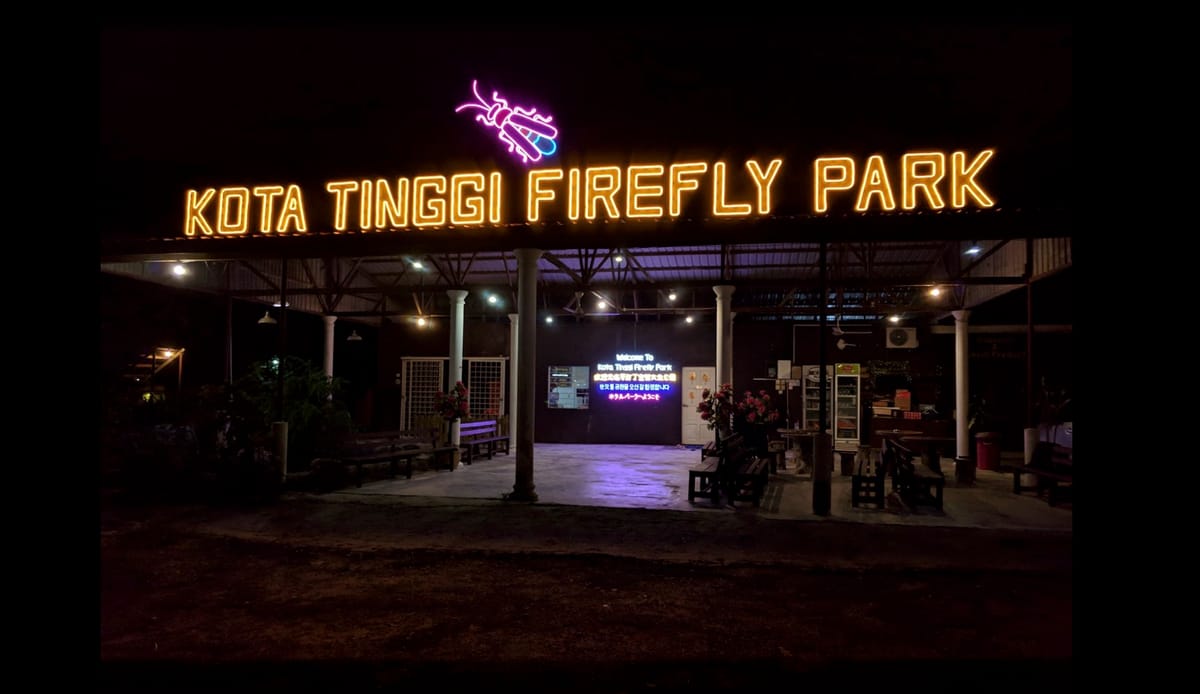 kota-tinggi-firefly-park-river-cruise-malaysia-pelago0.jpg