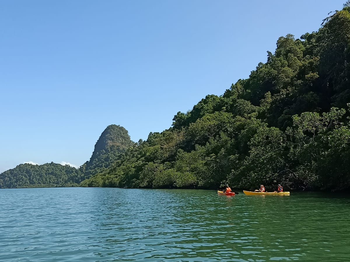 langkawi-mangrove-kayaking-and-swimming_1