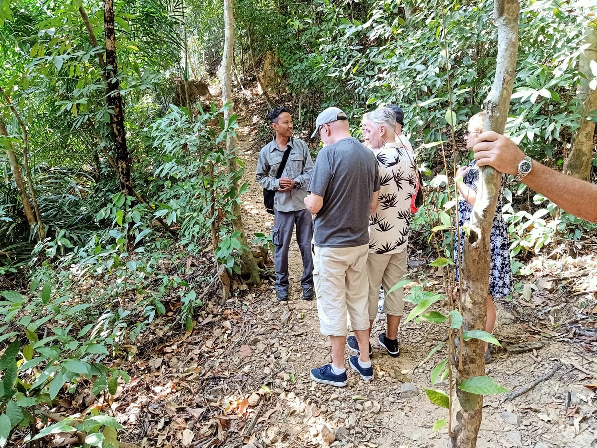 langkawi-rainforest-trekking_1
