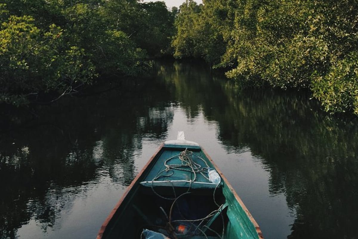 mangrove-cruise-in-cherating_1