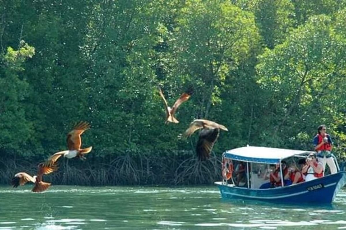 sharing-half-day-kilim-geoforest-park-mangrove-boat-tour_1