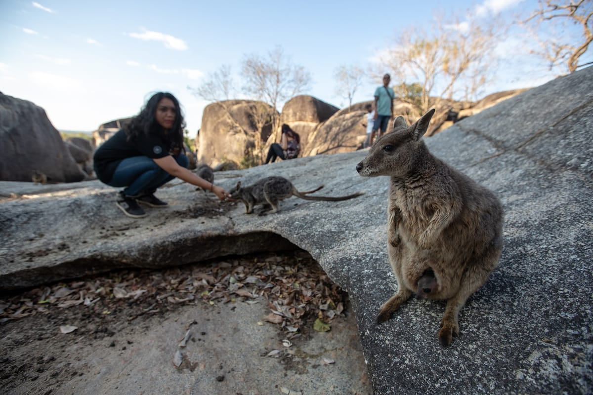 australian-outback-tour-chillagoe-caves-australia-pelago0.jpg