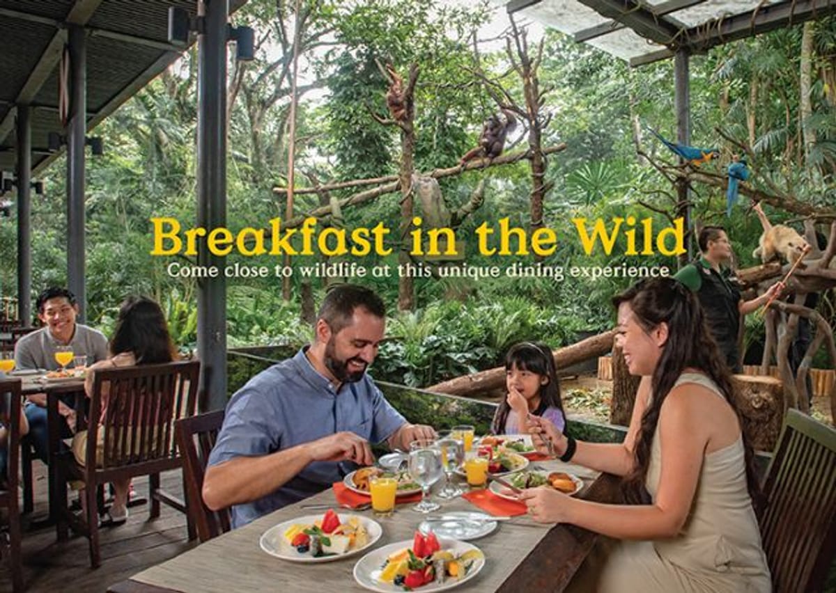 breakfast-in-the-wild-singapore-zoo-singapore-pelago0.jpg