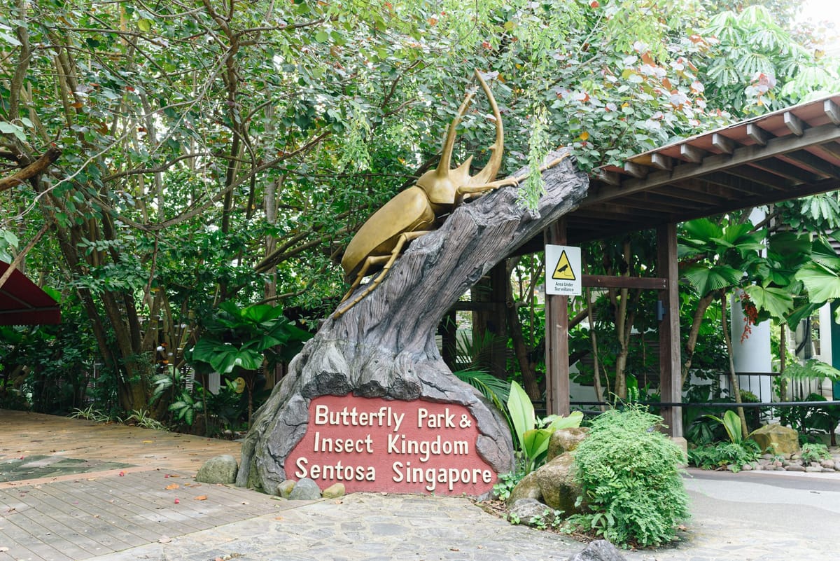 Butterfly Park & Insect Kingdom | Sentosa | Singapore | Pelago