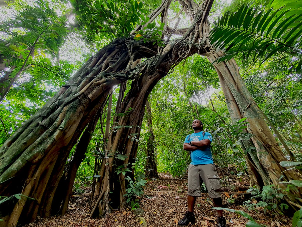 exploring-dover-forest-singapore-pelago0.jpg