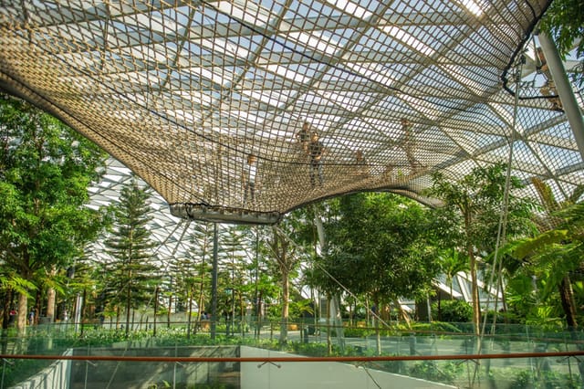 Jewel Changi Airport Canopy Park | Singapore | Pelago